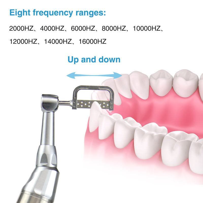 Dental Electric Wireless lPRS ystem Động cơ nha khoa Động cơ nha khoa Điện năng không dây IPR Hệ thống nha khoa & đánh bóng 2-in-1 Động cơ Cổng sạc